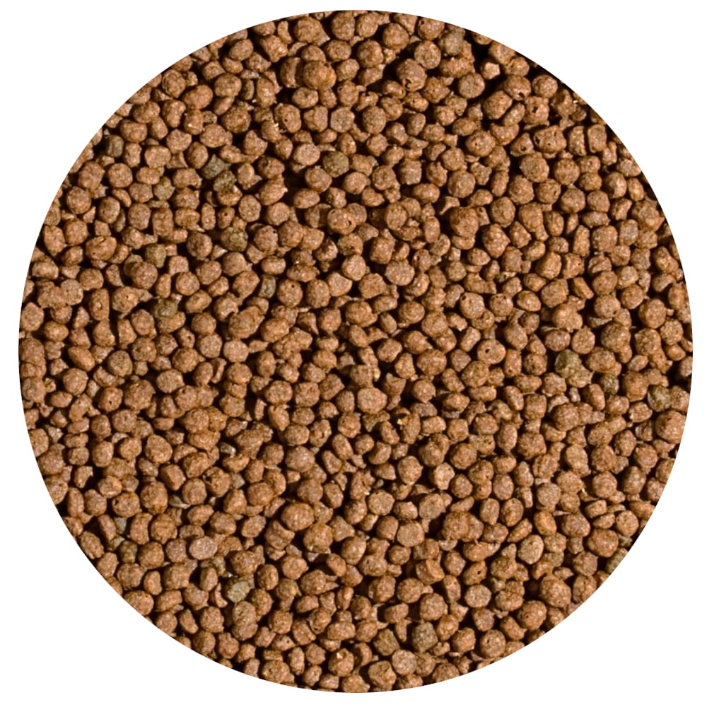 KOI probiotic S.jpg